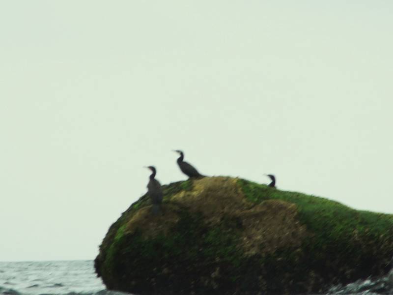 bretagne_t_2009_127b.jpg